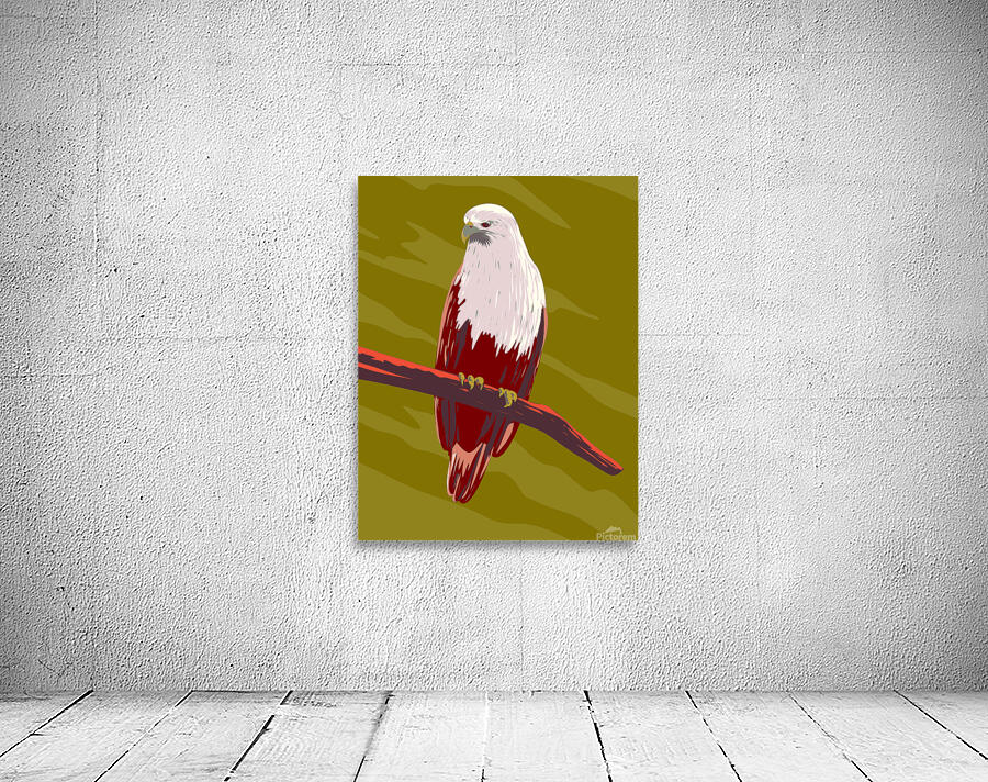 Red-Backed Sea-Eagle Wall Preview