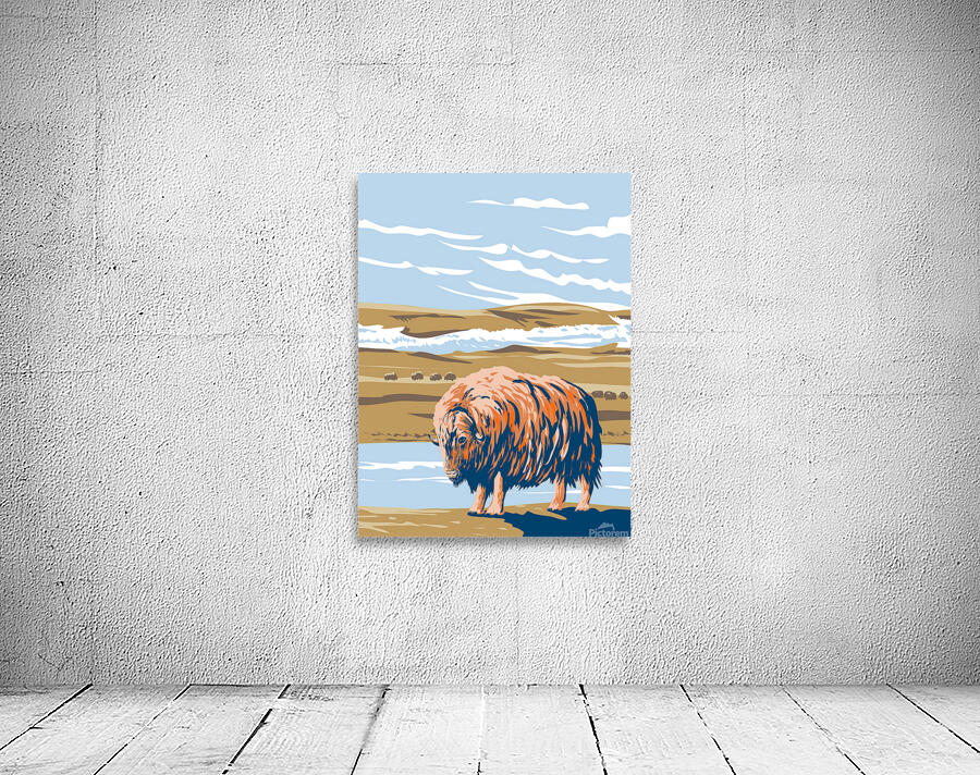 Musk Ox Wall Preview