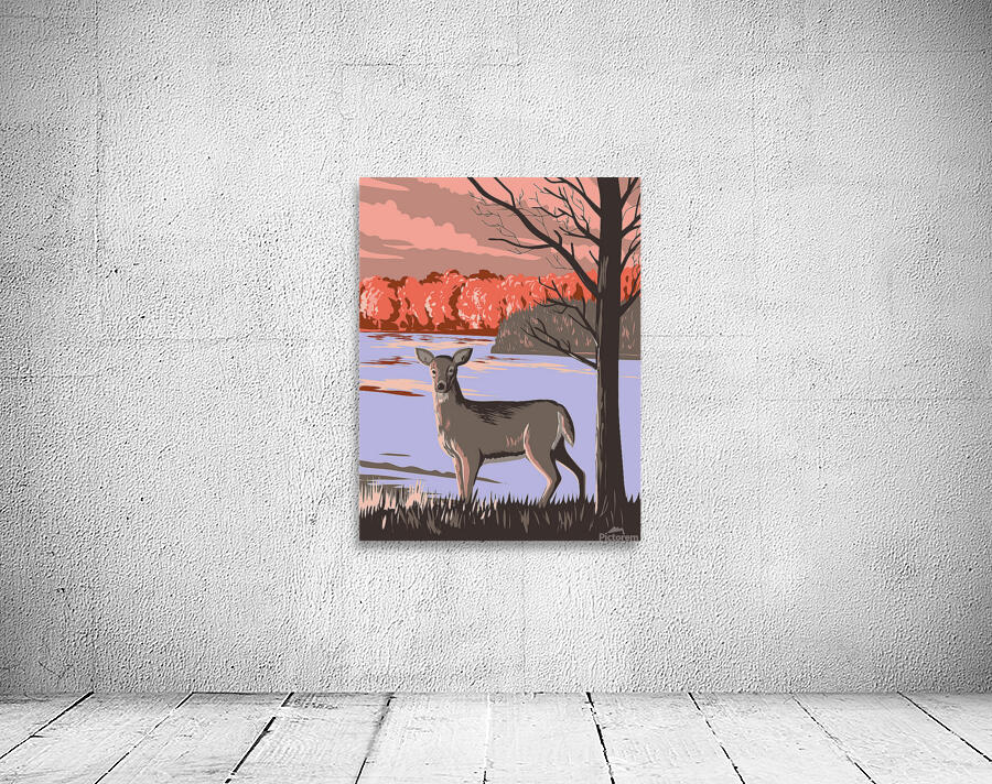 White Tailed Deer Wall Preview
