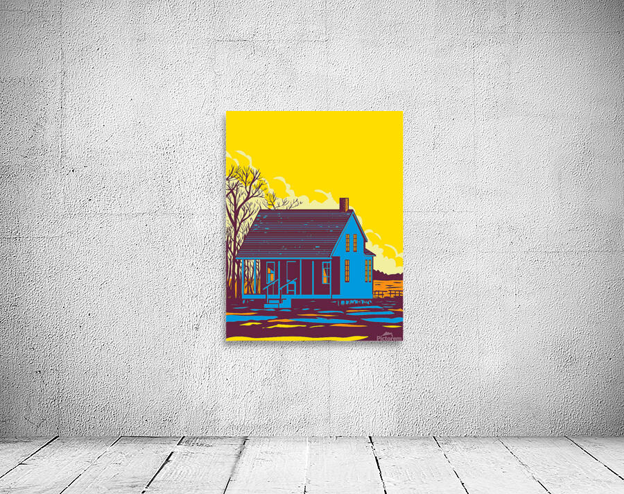 American House Wall Preview