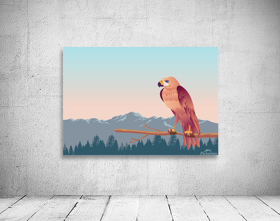 Beautiful buzzard Wall Preview