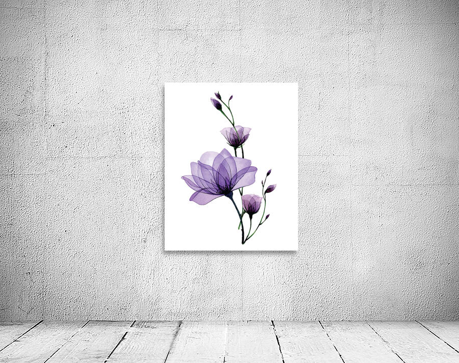 Wild rose flowers Wall Preview