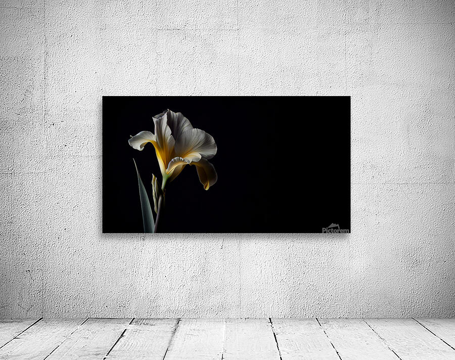 Dark Canna Flower  Wall Preview