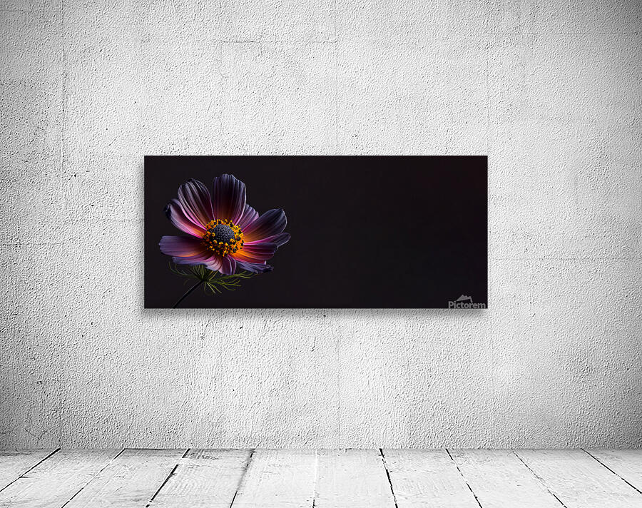  Dark cosmos flower Wall Preview