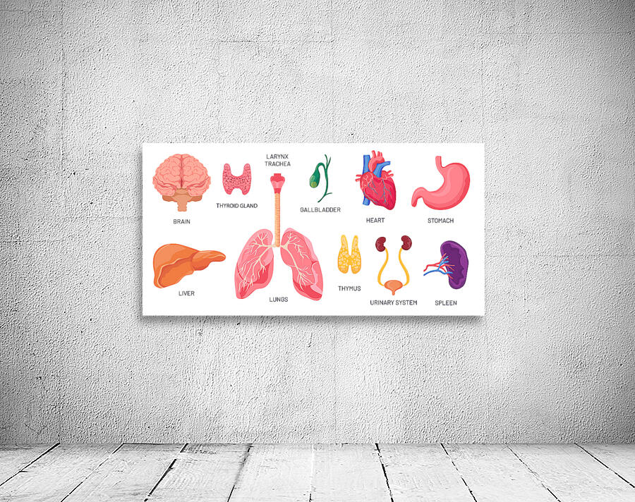 Internal organs of body parts by Point Art Wall Art