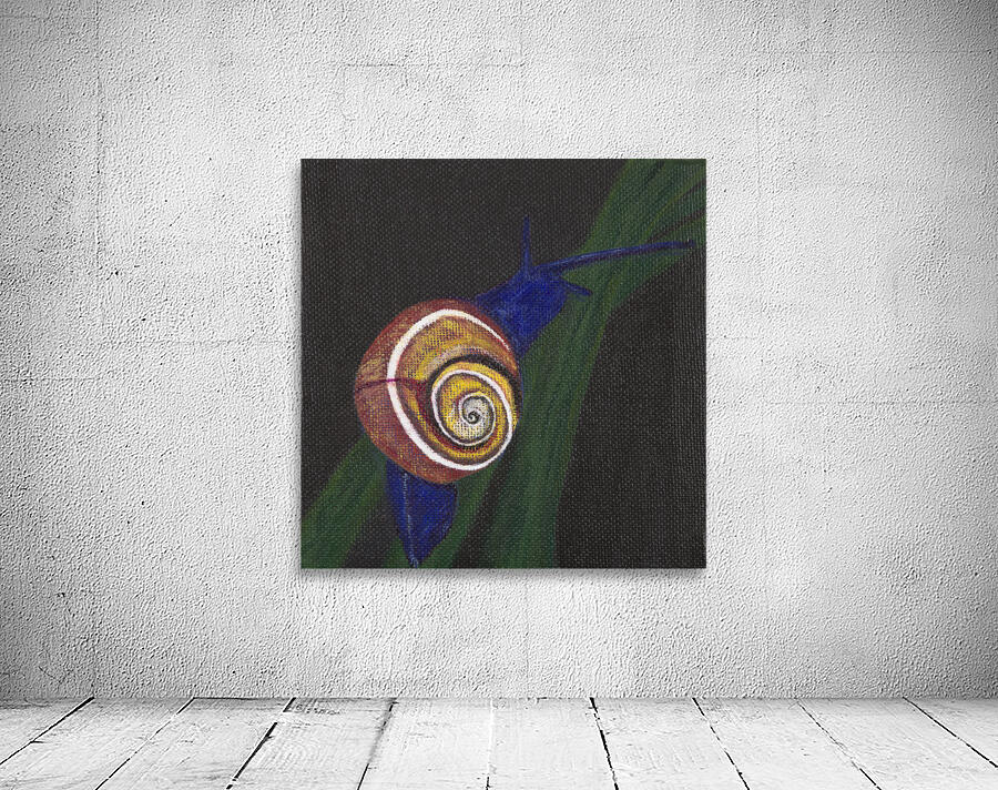 Snail Painting Wall Preview