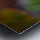 Hang In There  Metal print