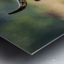 Longhorn Lady Metal print