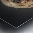 Doodle Kisses Metal print