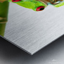 Lucky Frog Metal print