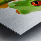 Frog On A Petal Metal print