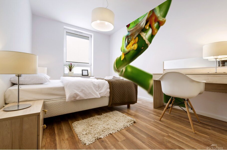 Lucky Frog Mural print