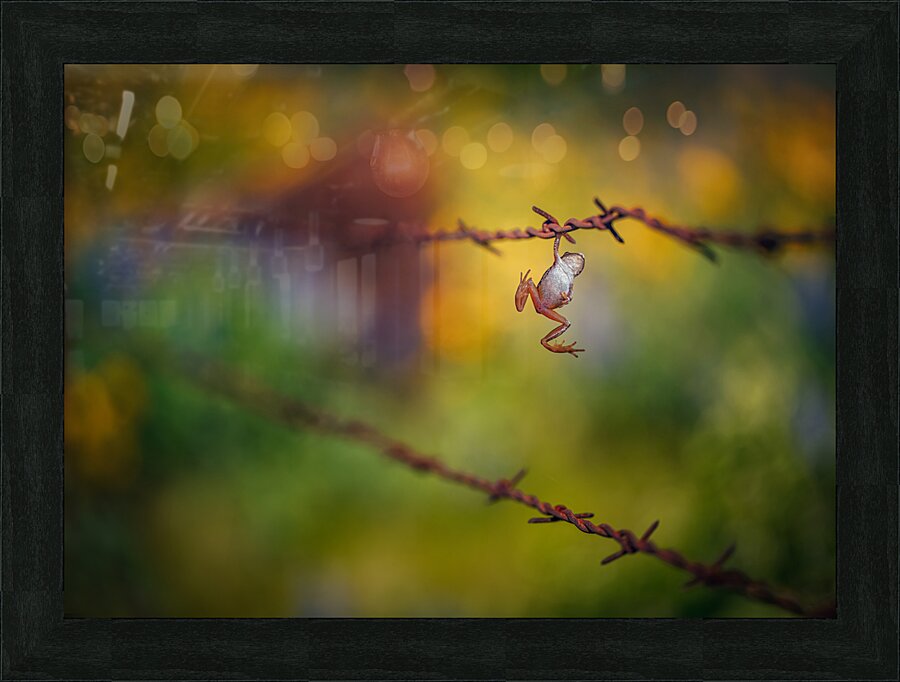 Hang In There  Picture Frame print