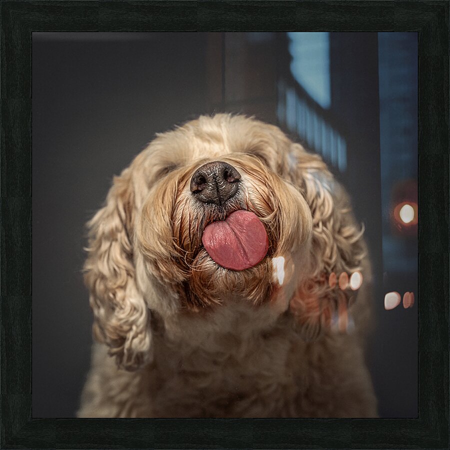 Doodle Kisses Picture Frame print