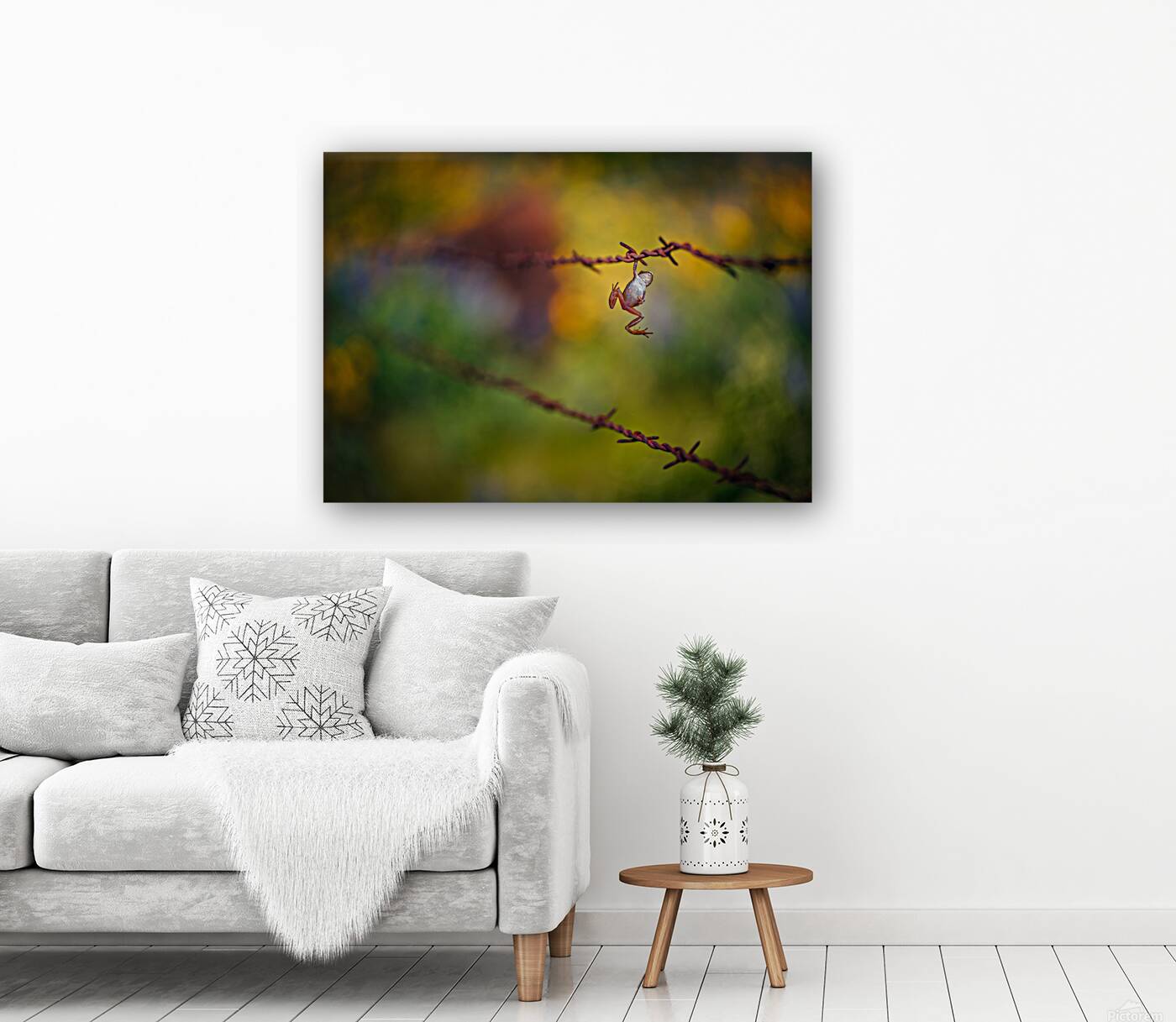 Hang In There  Reproduction