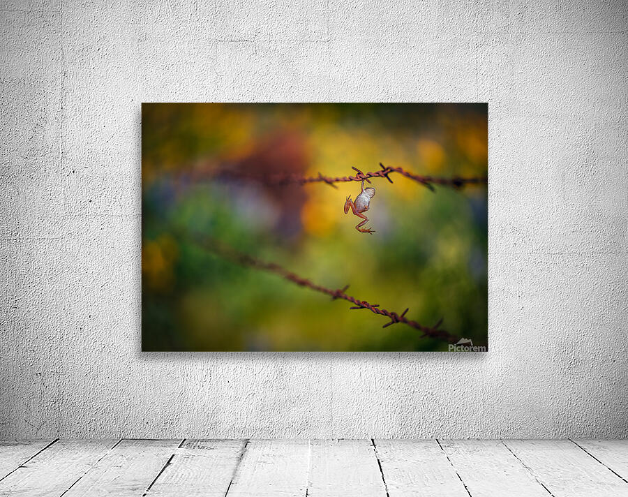 Hang In There  Wall Preview