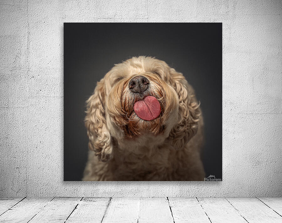 Doodle Kisses Wall Preview