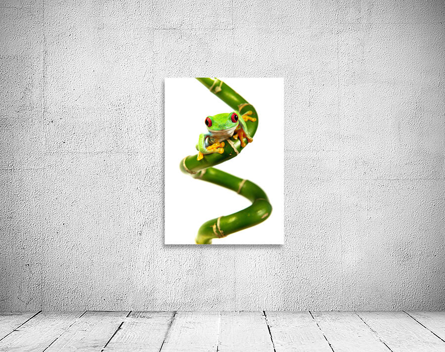 Lucky Frog Wall Preview