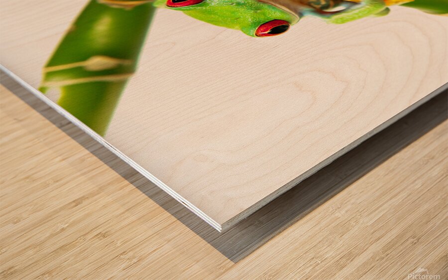 Lucky Frog Wood print