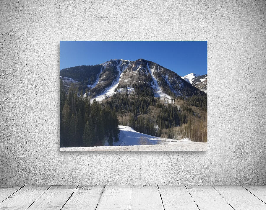 Pine Trees Lining Snowy Mountain Wall Preview