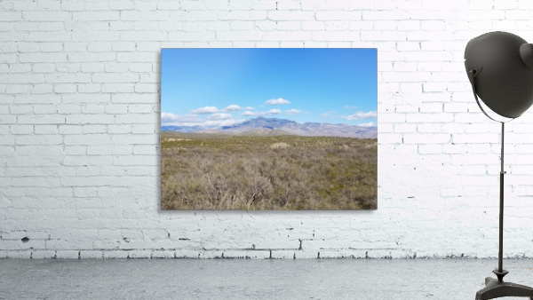 Mountain Overlooking Desert Flora Wall Preview
