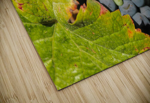 Future Red Wine Ewerton Camarano puzzle