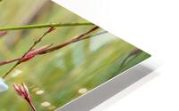 Flowers dance HD Metal print