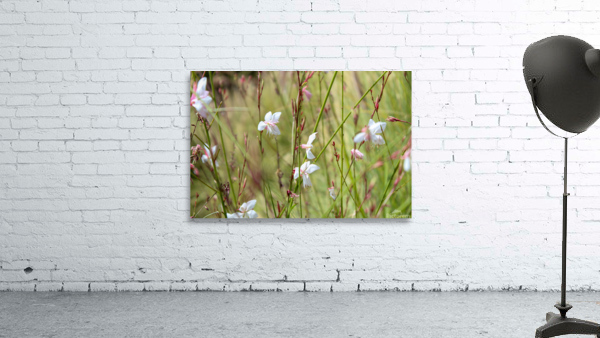 Flowers dance Wall Preview