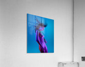 when made external. Acrylic Print