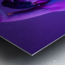 end vision. Metal print