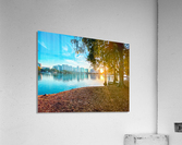 Orlando Sunset Acrylic Print