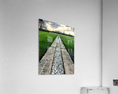 Long Road Ahead Acrylic Print