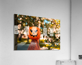 October Pumpkins Acrylic Print