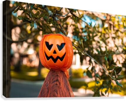 October Pumpkins Canvas Print