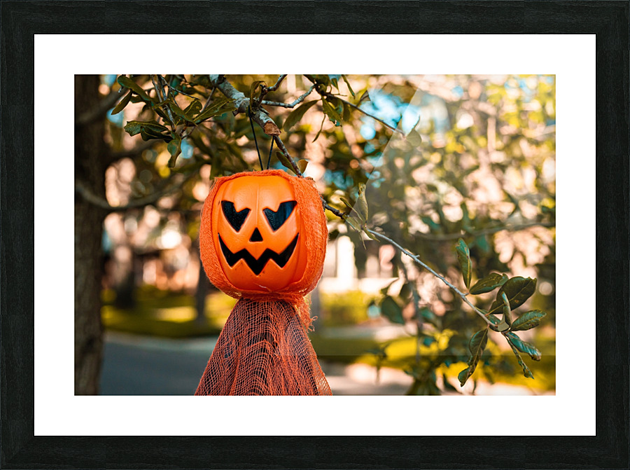 October Pumpkins Picture Frame print