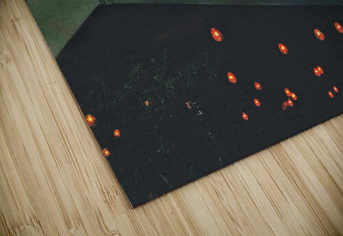 Oliver Royale Adam Amore puzzle