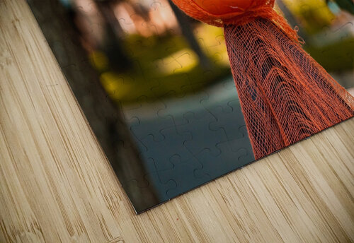 October Pumpkins Adam Amore puzzle