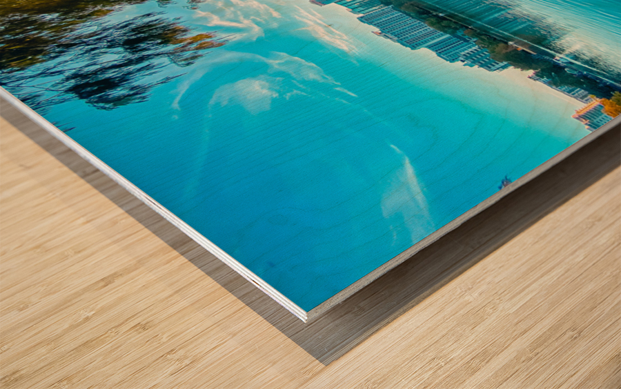 Orlando Sunset Wood print