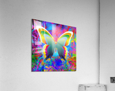 Psychedelic Butterflies Acrylic Print