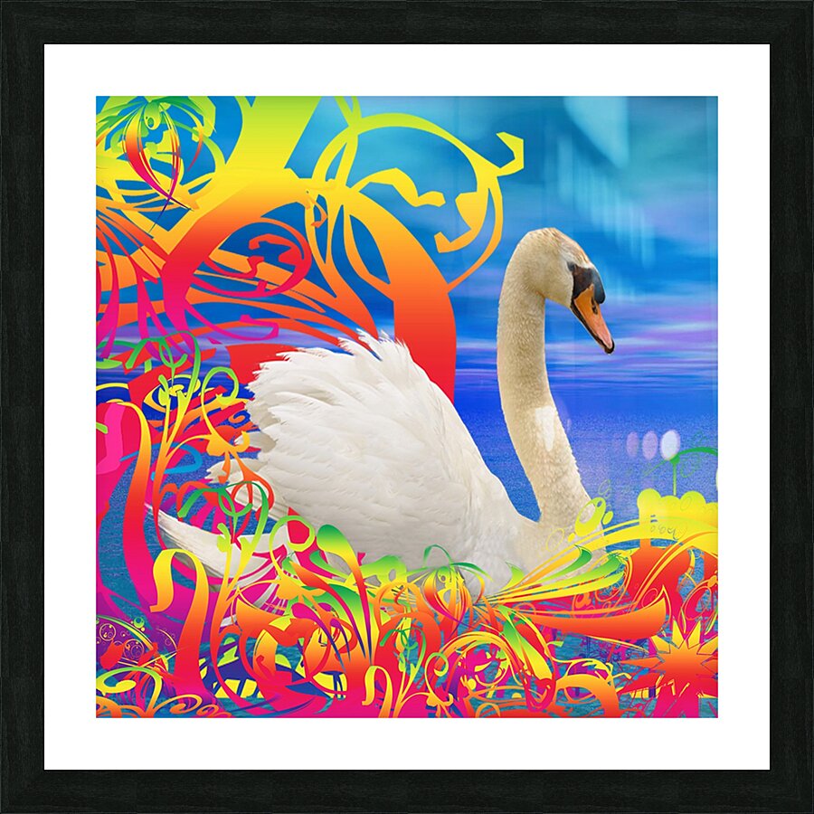 Swan nest Picture Frame print