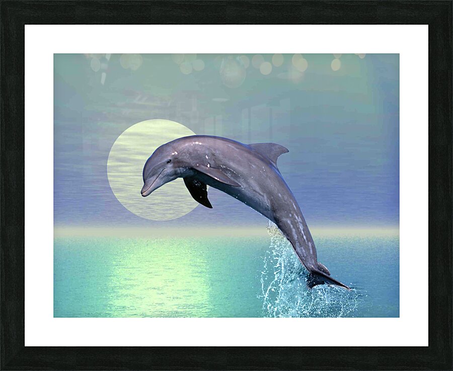 Dolphin Sunrise Picture Frame print