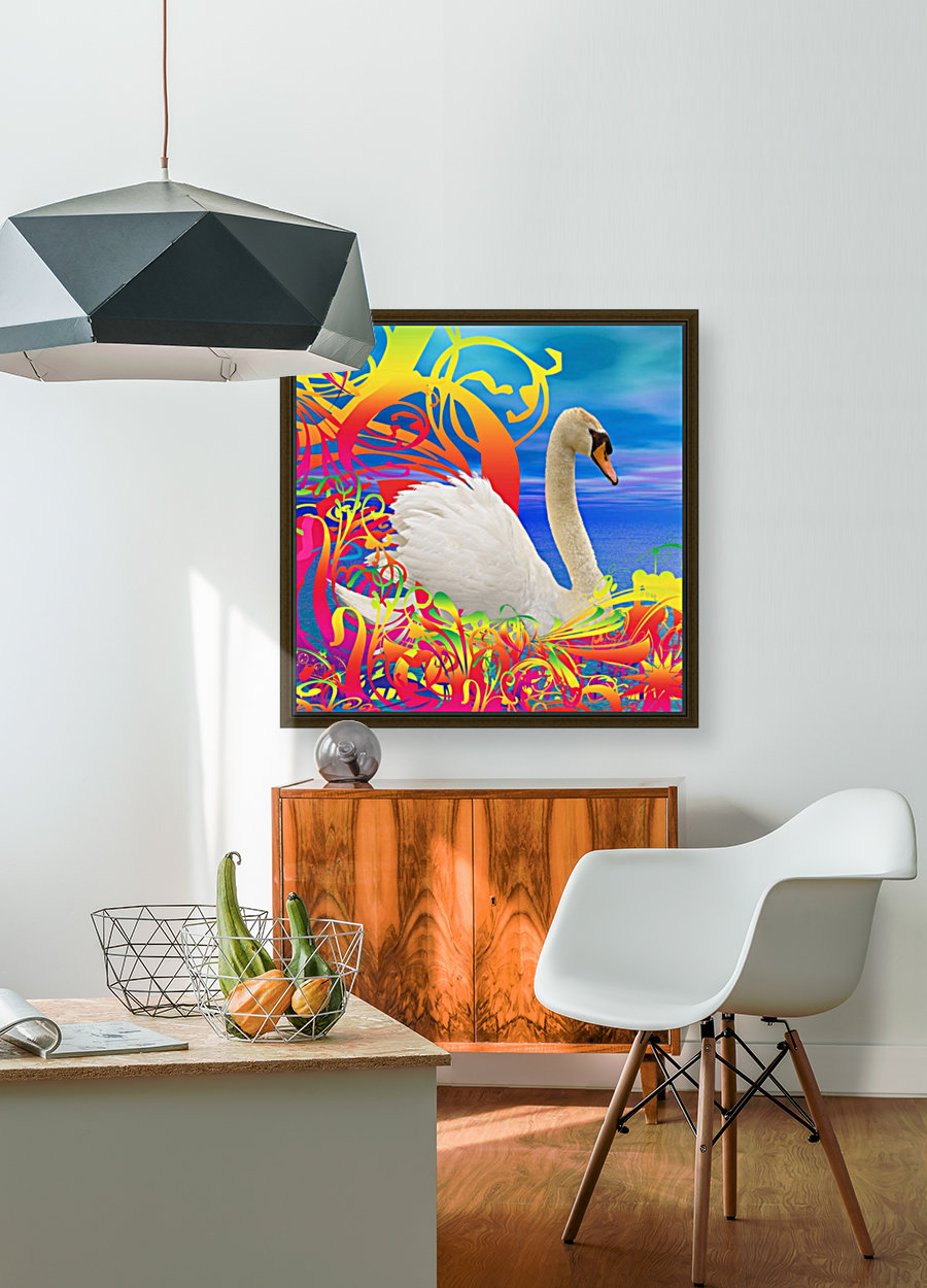 Swan nest Reproduction
