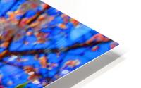 Magic Flower HD Metal print