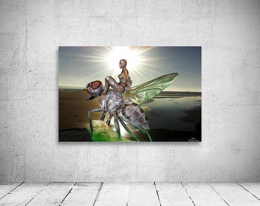 Silver Sunrise Wall Preview