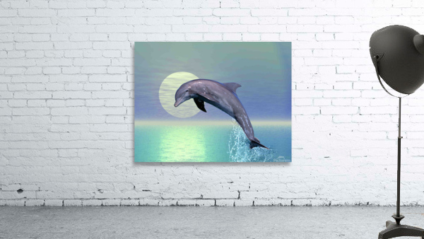 Dolphin Sunrise Wall Preview
