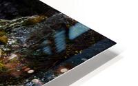 Moose falls HD Metal print