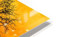 Beautiful Sunset HD Metal print