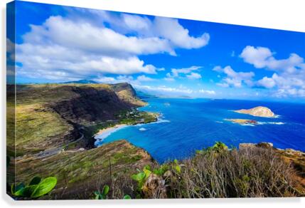 Makapuu view 2020 Canvas Print