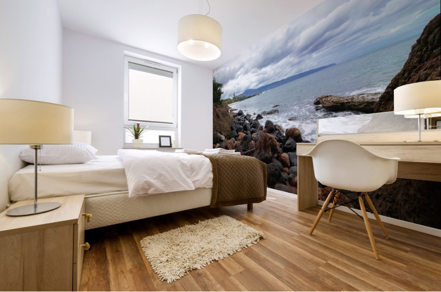 Rocky Road 2020 Mural print