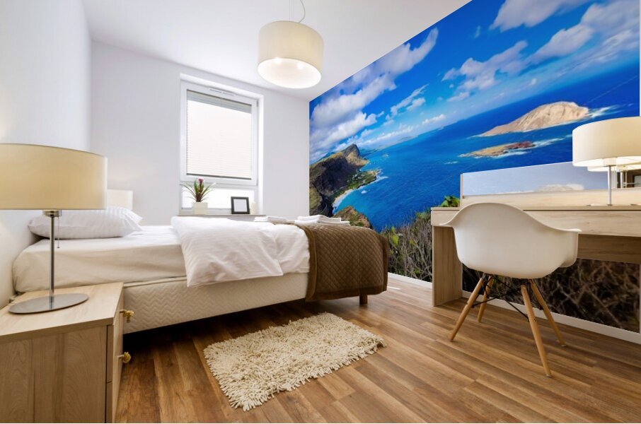 Makapuu view 2020 Mural print